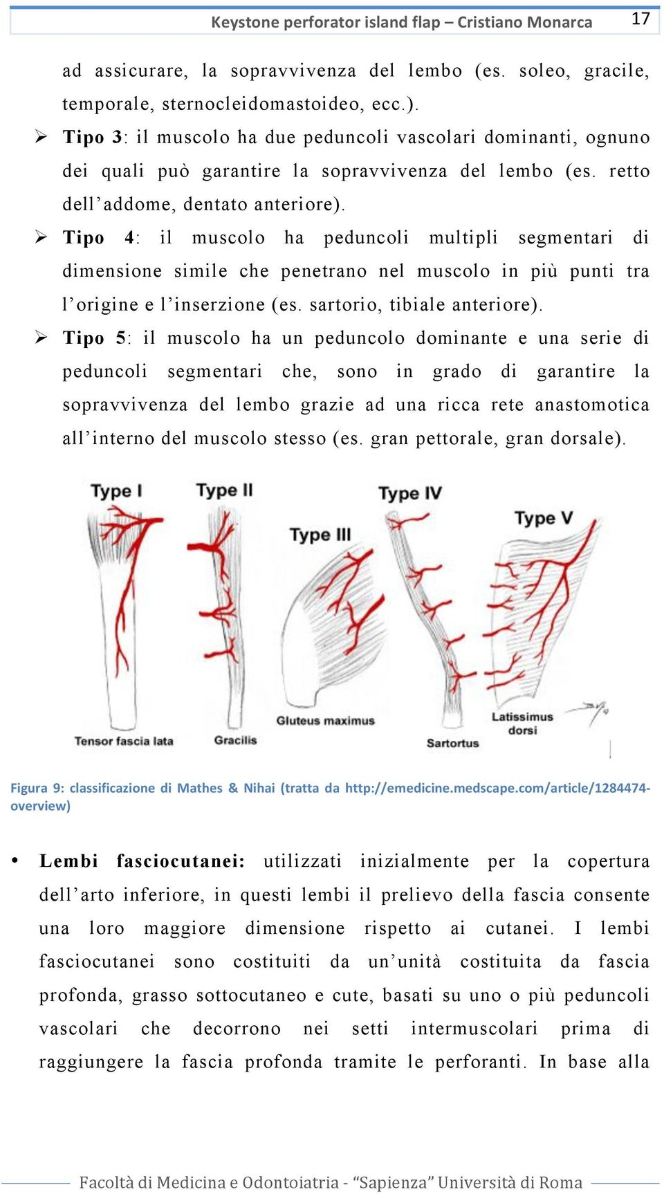 Tipo 4: il muscolo ha peduncoli multipli segmentari di dimensione simile che penetrano nel muscolo in più punti tra l origine e l inserzione (es. sartorio, tibiale anteriore).