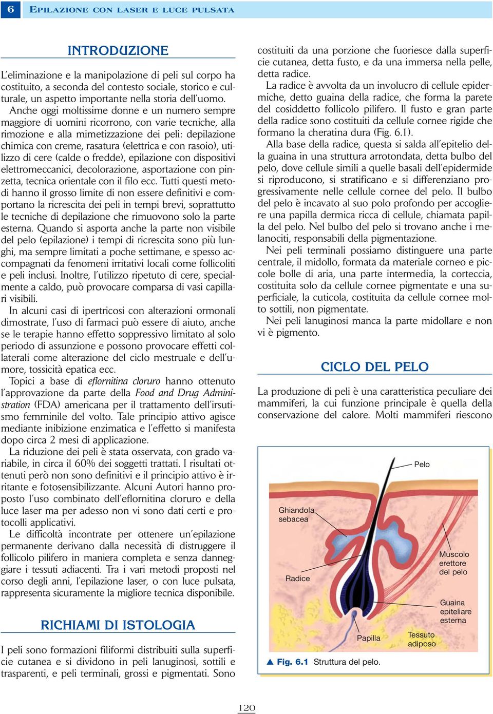 Anche oggi moltissime donne e un numero sempre maggiore di uomini ricorrono, con varie tecniche, alla rimozione e alla mimetizzazione dei peli: depilazione chimica con creme, rasatura (elettrica e