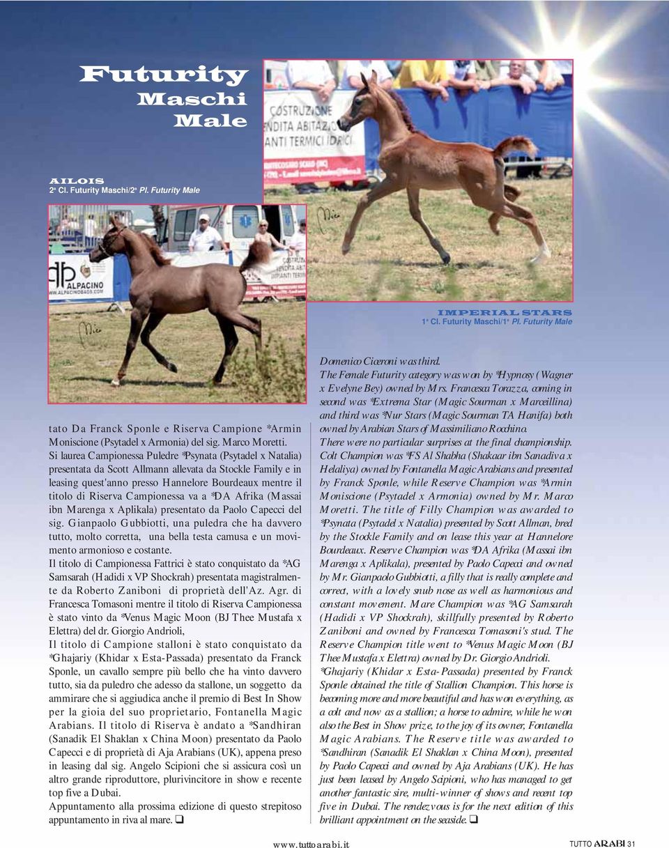 Si laurea Campionessa Puledre *Psynata (Psytadel x Natalia) presentata da Scott Allmann allevata da Stockle Family e in leasing quest'anno presso Hannelore Bourdeaux mentre il titolo di Riserva