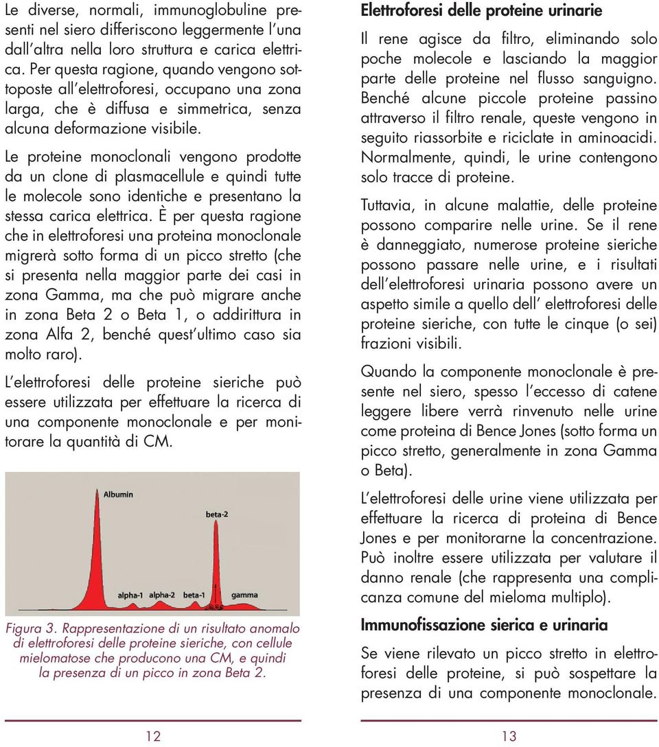 Le proteine monoclonali vengono prodotte da un clone di plasmacellule e quindi tutte le molecole sono identiche e presentano la stessa carica elettrica.