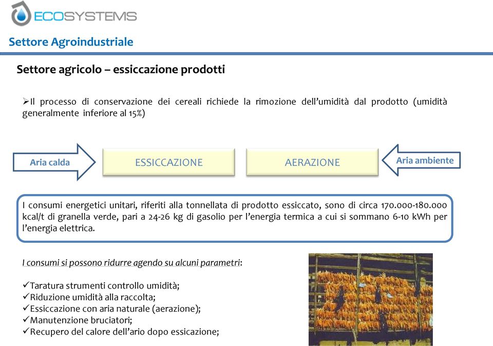 000 kcal/t di granella verde, pari a 24-26 kg di gasolio per l energia termica a cui si sommano 6-10 kwh per l energia elettrica.