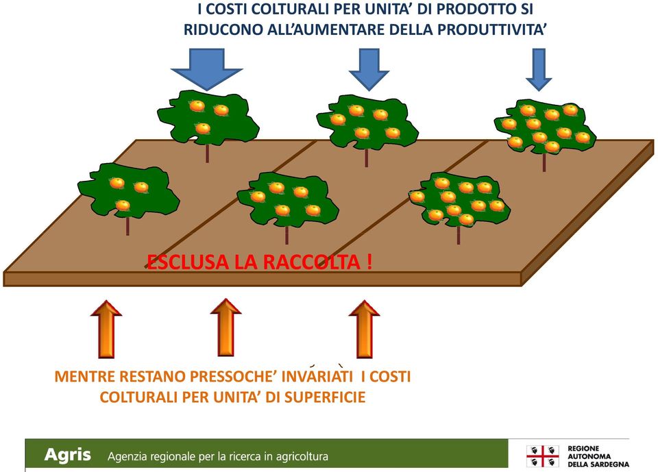 ESCLUSA LA RACCOLTA!