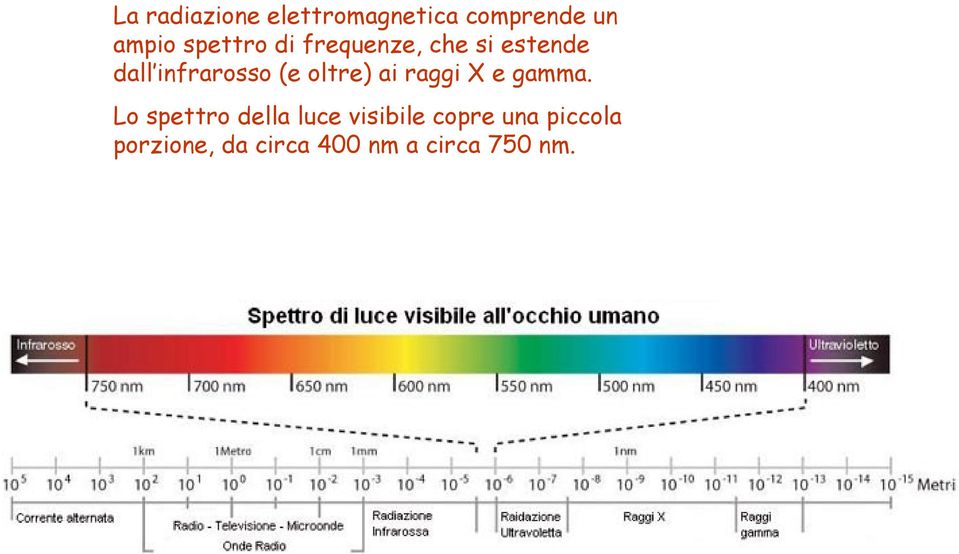 oltre) ai raggi X e gamma.