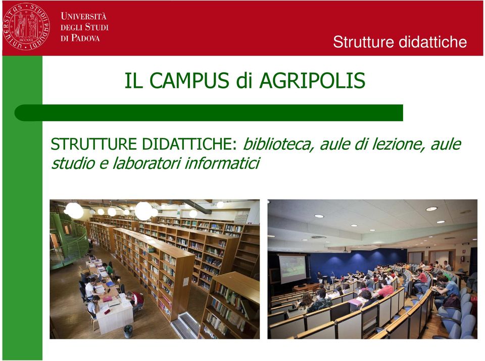 biblioteca, aule di lezione,