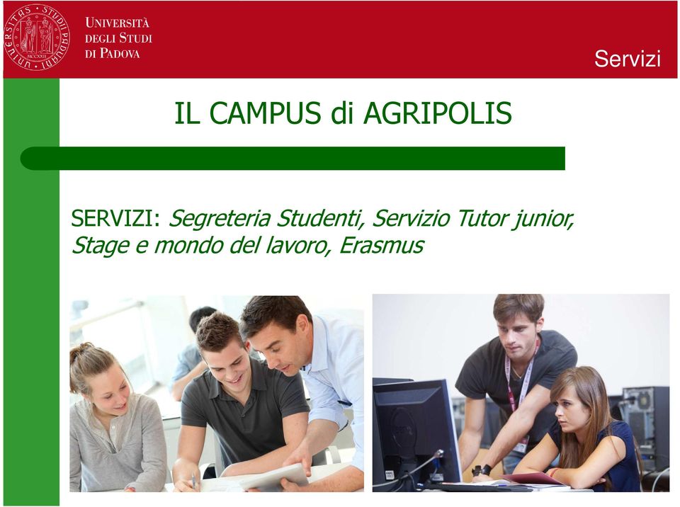 Studenti, Servizio Tutor