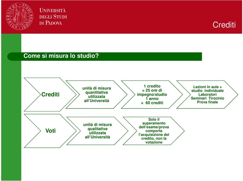 impegno/studio 1 anno = 60 crediti Lezioni in aula + studio individuale Laboratori Seminari