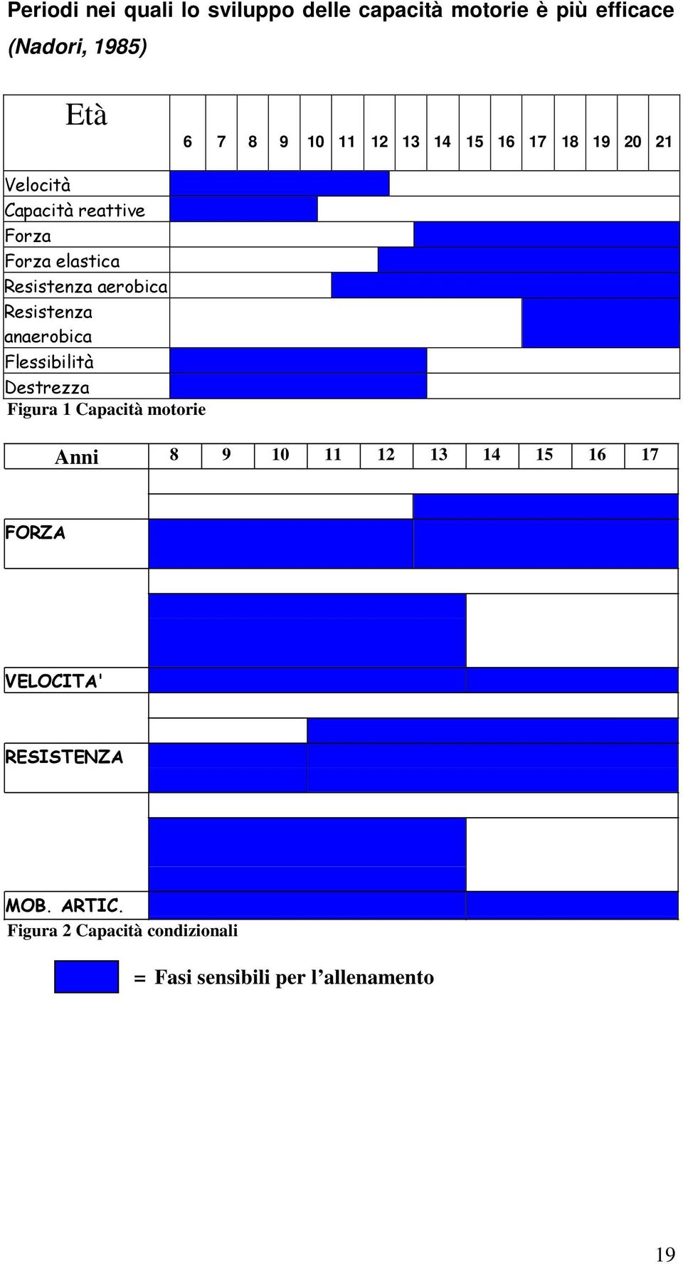 Resistenza anaerobica Flessibilità Destrezza Figura 1 Capacità motorie Anni 8 9 10 11 12 13 14 15 16