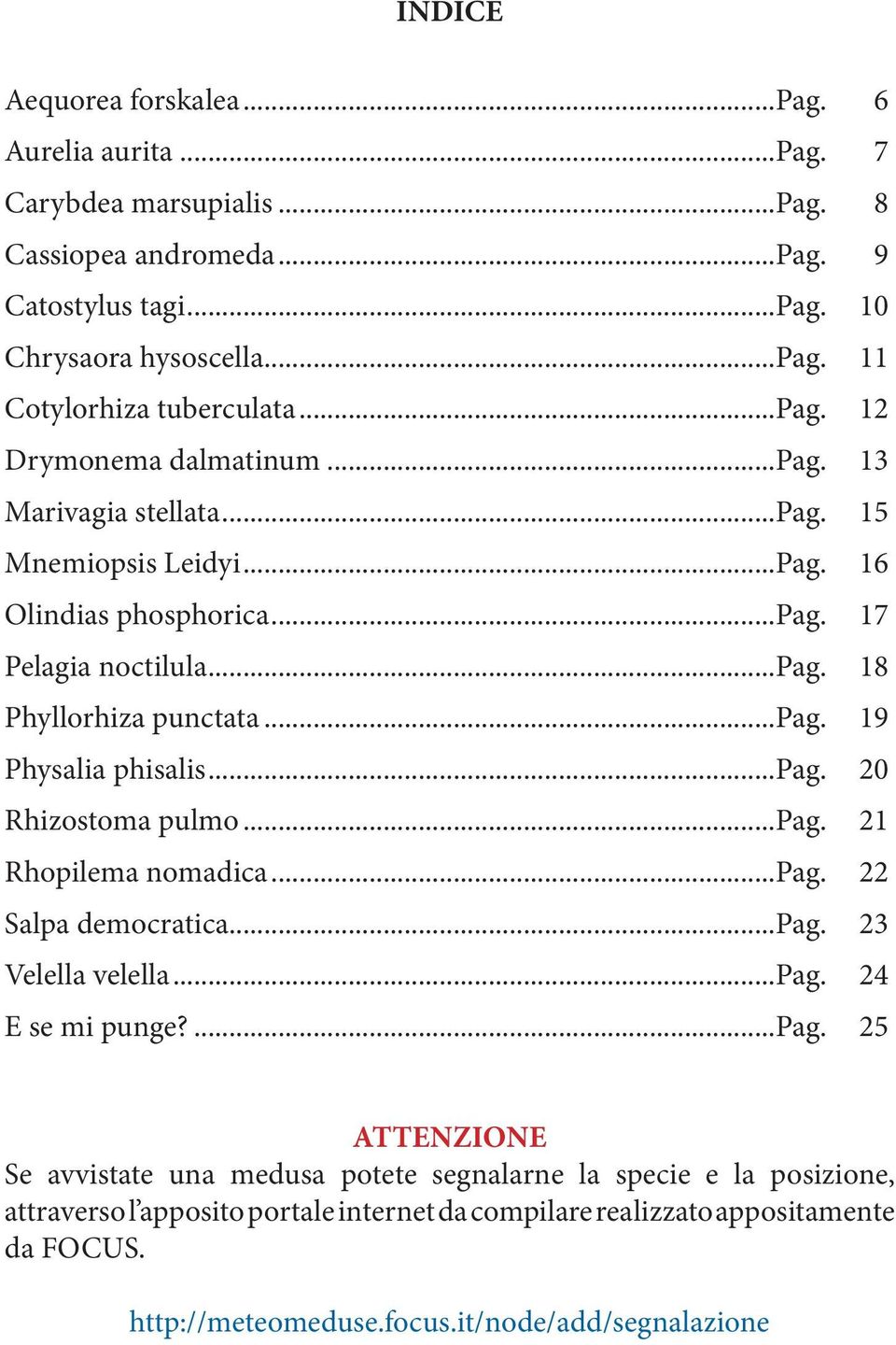 ..pag. 20 Rhizostoma pulmo...pag. 21 Rhopilema nomadica...pag. 22 Salpa democratica...pag. 23 Velella velella...pag. 24 E se mi punge?...pag. 25 ATTENZIONE Se avvistate una medusa potete segnalarne la specie e la posizione, attraverso l apposito portale internet da compilare realizzato appositamente da FOCUS.