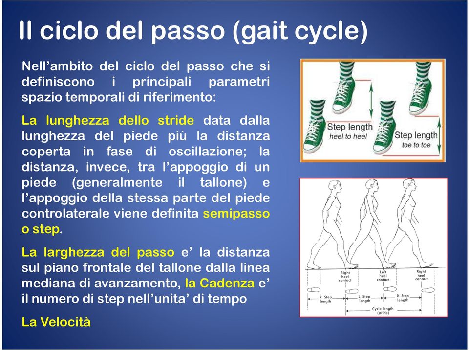 un piede (generalmente il tallone) e l appoggio della stessa parte del piede controlaterale viene definita semipasso o step.