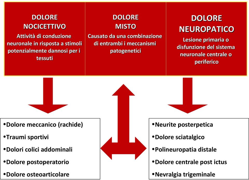 neuronale centrale o periferico Dolore meccanico (rachide) Neurite posterpetica Traumi sportivi Dolore sciatalgico Dolori