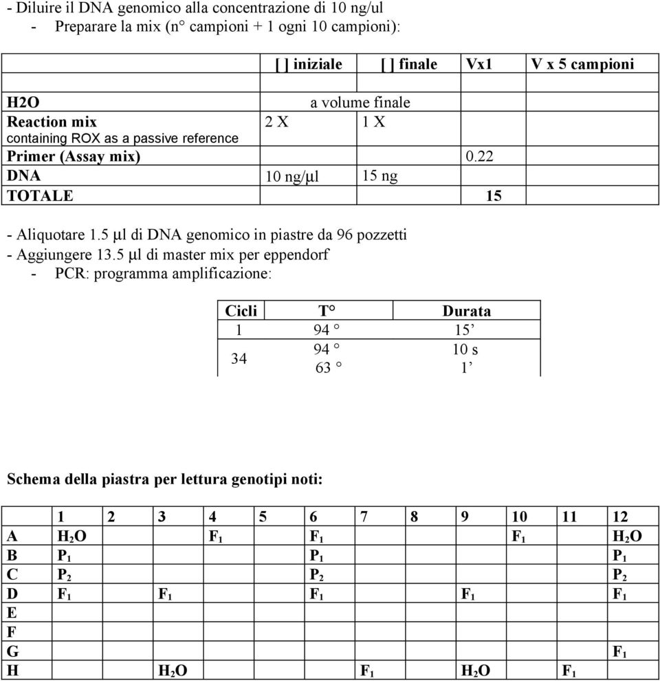 5 µl di DNA genomico in piastre da 96 pozzetti - Aggiungere 13.