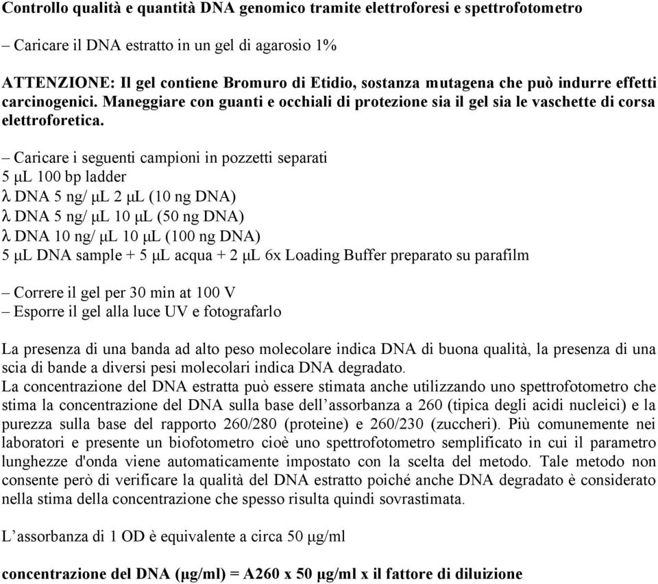 Caricare i seguenti campioni in pozzetti separati 5 μl 100 bp ladder λ DNA 5 ng/ μl 2 μl (10 ng DNA) λ DNA 5 ng/ μl 10 μl (50 ng DNA) λ DNA 10 ng/ μl 10 μl (100 ng DNA) 5 μl DNA sample + 5 μl acqua +