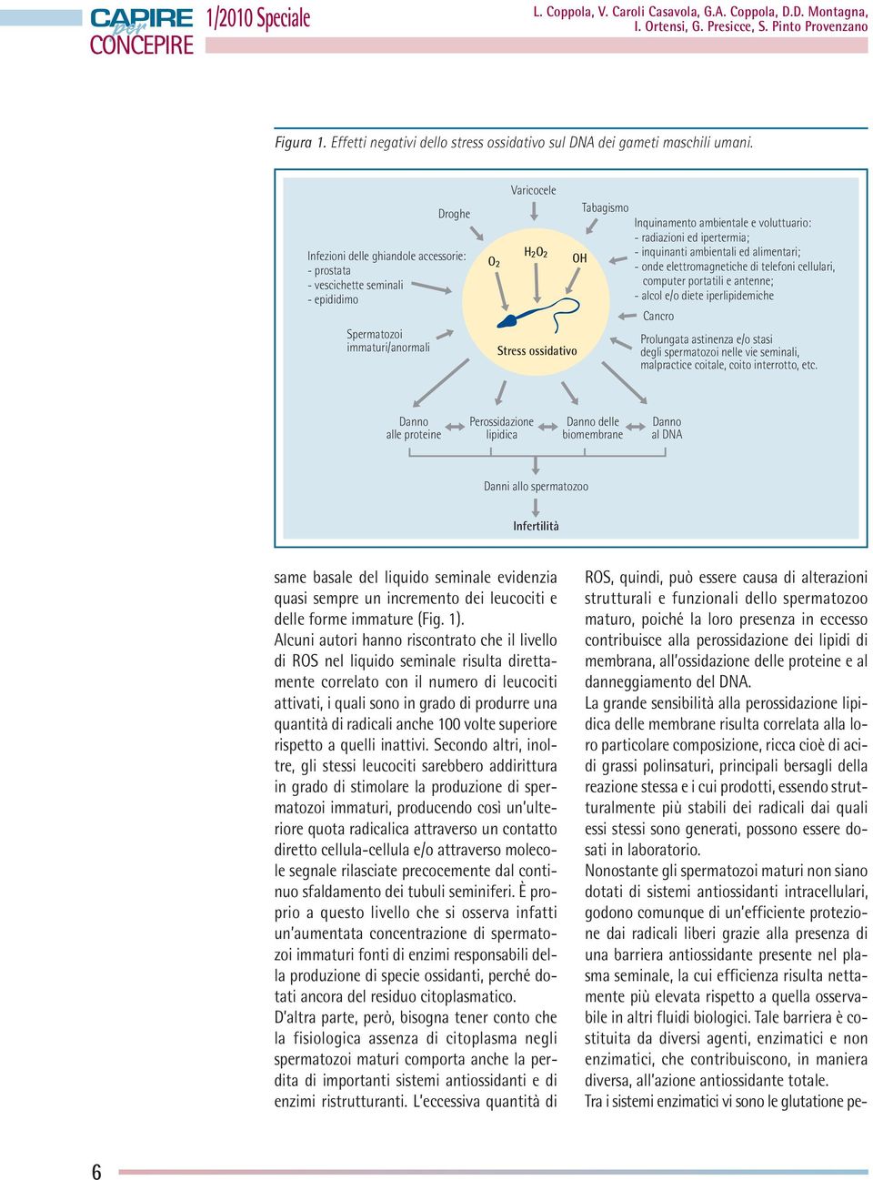 e voluttuario: - radiazioni ed ipertermia; - inquinanti ambientali ed alimentari; - onde elettromagnetiche di telefoni cellulari, computer portatili e antenne; - alcol e/o diete iperlipidemiche