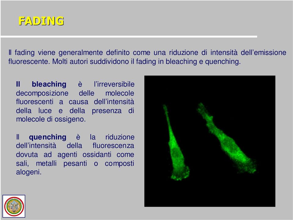 Il bleaching è l irreversibile decomposizione delle molecole fluorescenti a causa dell intensità della luce e