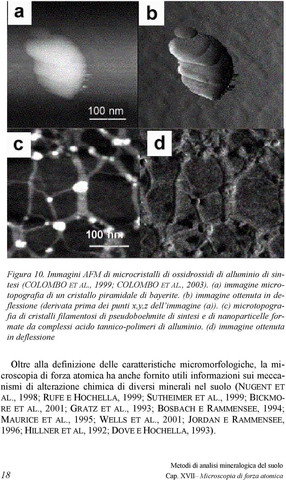 (c) microtopografia di cristalli filamentosi di pseudoboehmite di sintesi e di nanoparticelle formate da complessi acido tannico-polimeri di alluminio.