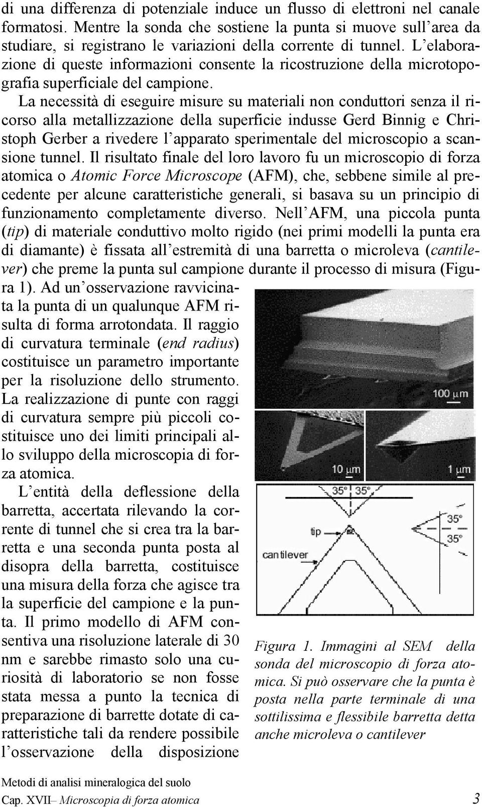 L elaborazione di queste informazioni consente la ricostruzione della microtopografia superficiale del campione.