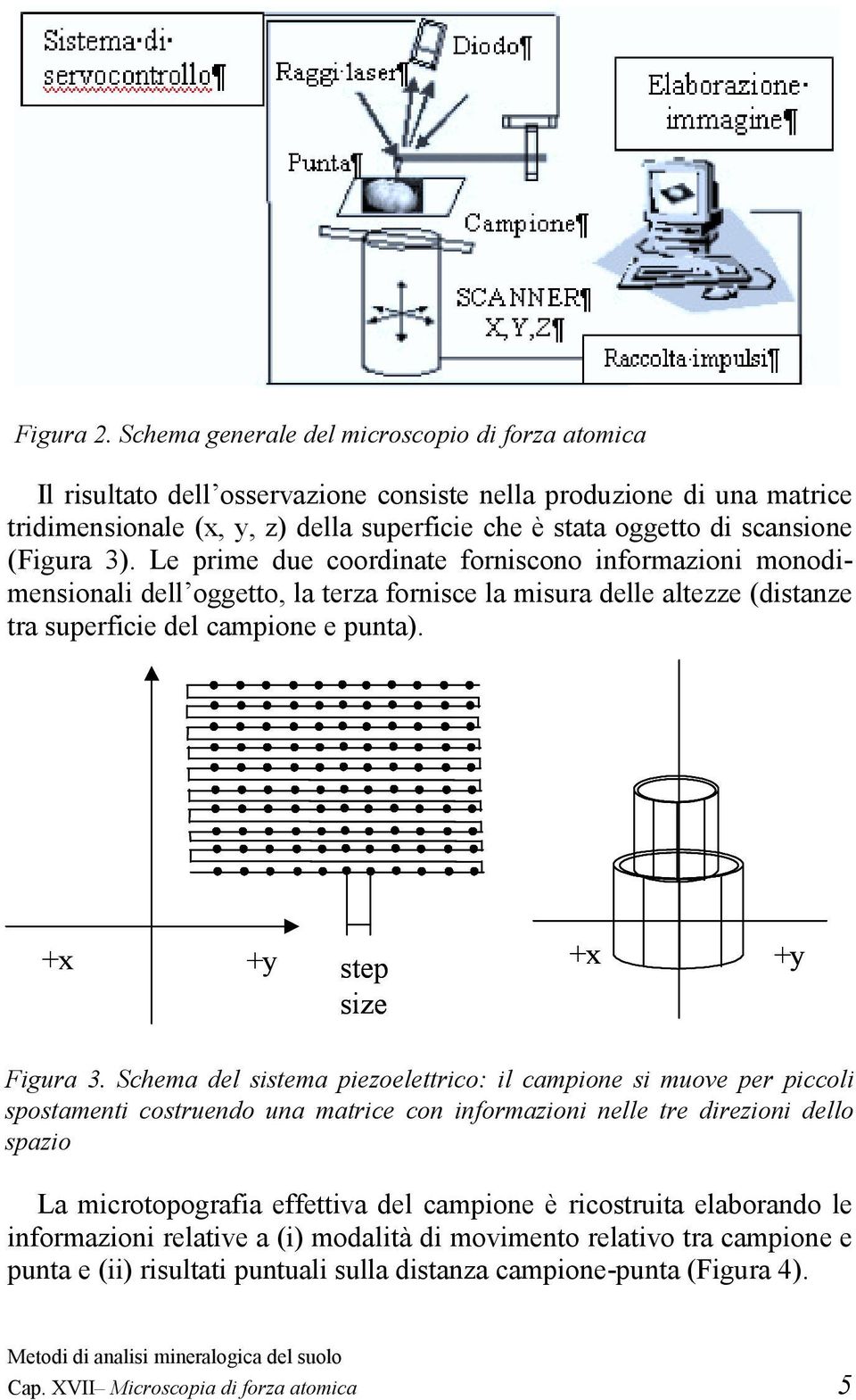 (Figura 3). Le prime due coordinate forniscono informazioni monodimensionali dell oggetto, la terza fornisce la misura delle altezze (distanze tra superficie del campione e punta).