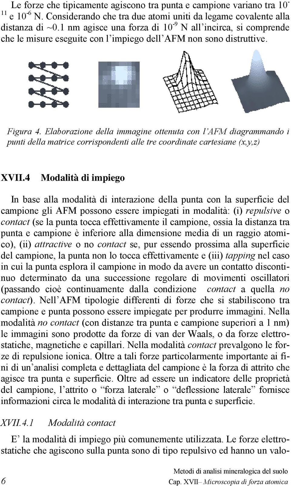 Elaborazione della immagine ottenuta con l AFM diagrammando i punti della matrice corrispondenti alle tre coordinate cartesiane (x,y,z) XVII.