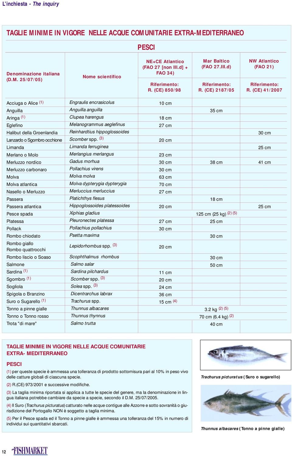 (CE) 41/2007 Acciuga o Alice (1) Anguilla Aringa (1) Eglefino Halibut della Groenlandia Lanzardo o Sgombro occhione Limanda Merlano o Molo Merluzzo nordico Merluzzo carbonaro Molva Molva atlantica