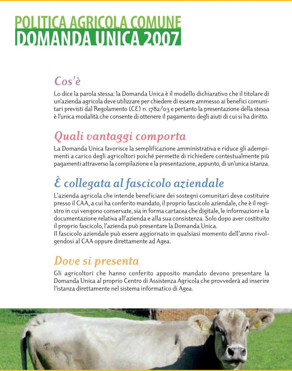 1782/03 e pertanto la presentazione della stessa è l unica modalità che consente di ottenere il pagamento degli aiuti di cui si ha diritto.