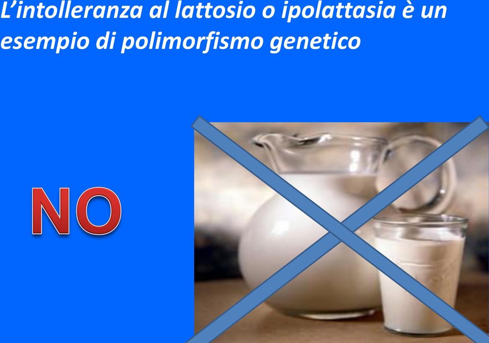 ipolattasia è un