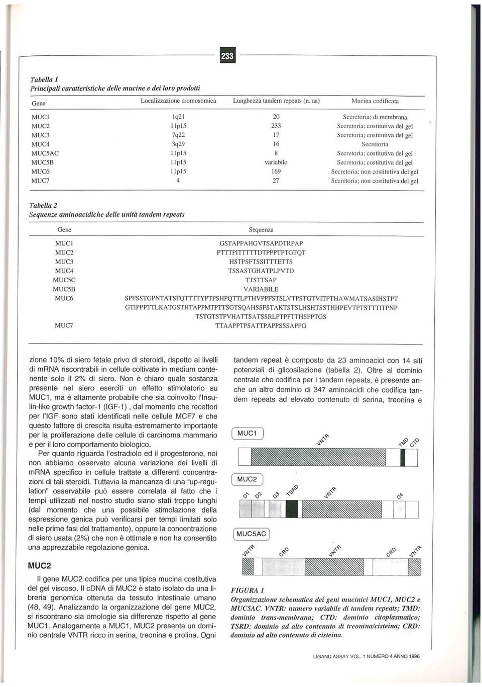 Secretoria; costitutiva del gel MUC5B IlplS variabile Secretoria; costituti va del gel MUC6 llpls 169 Secretoria; non costitutiva del gel MUC7 4 27 Secretoria; non costitutiva del gel Tabella 2