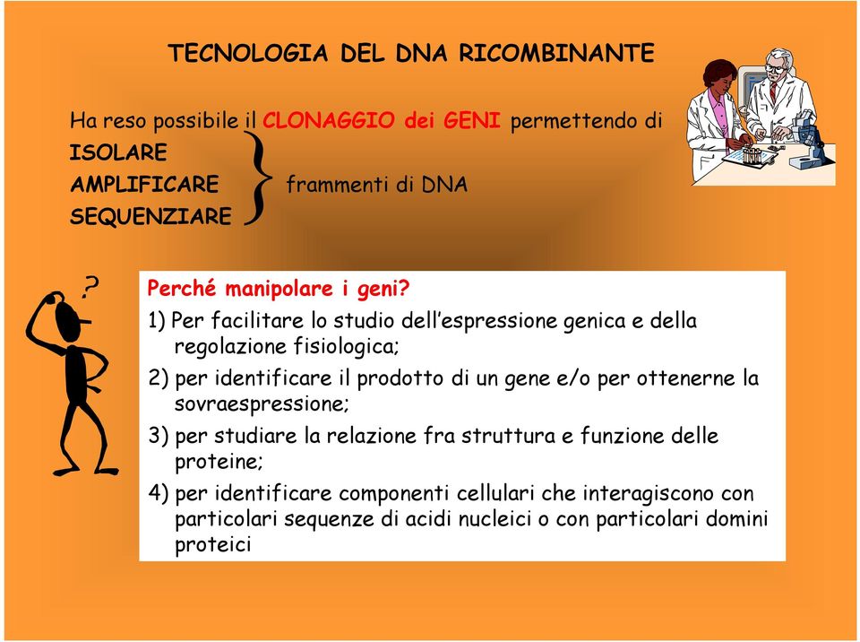 1) Per facilitare lo studio dell espressione genica e della regolazione fisiologica; 2) per identificare il prodotto di un gene e/o