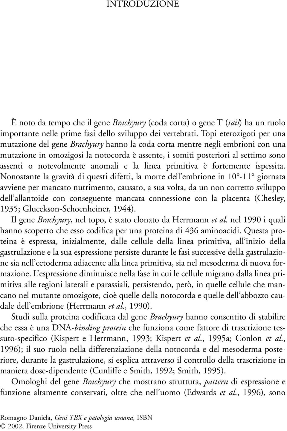 notevolmente anomali e la linea primitiva è fortemente ispessita.