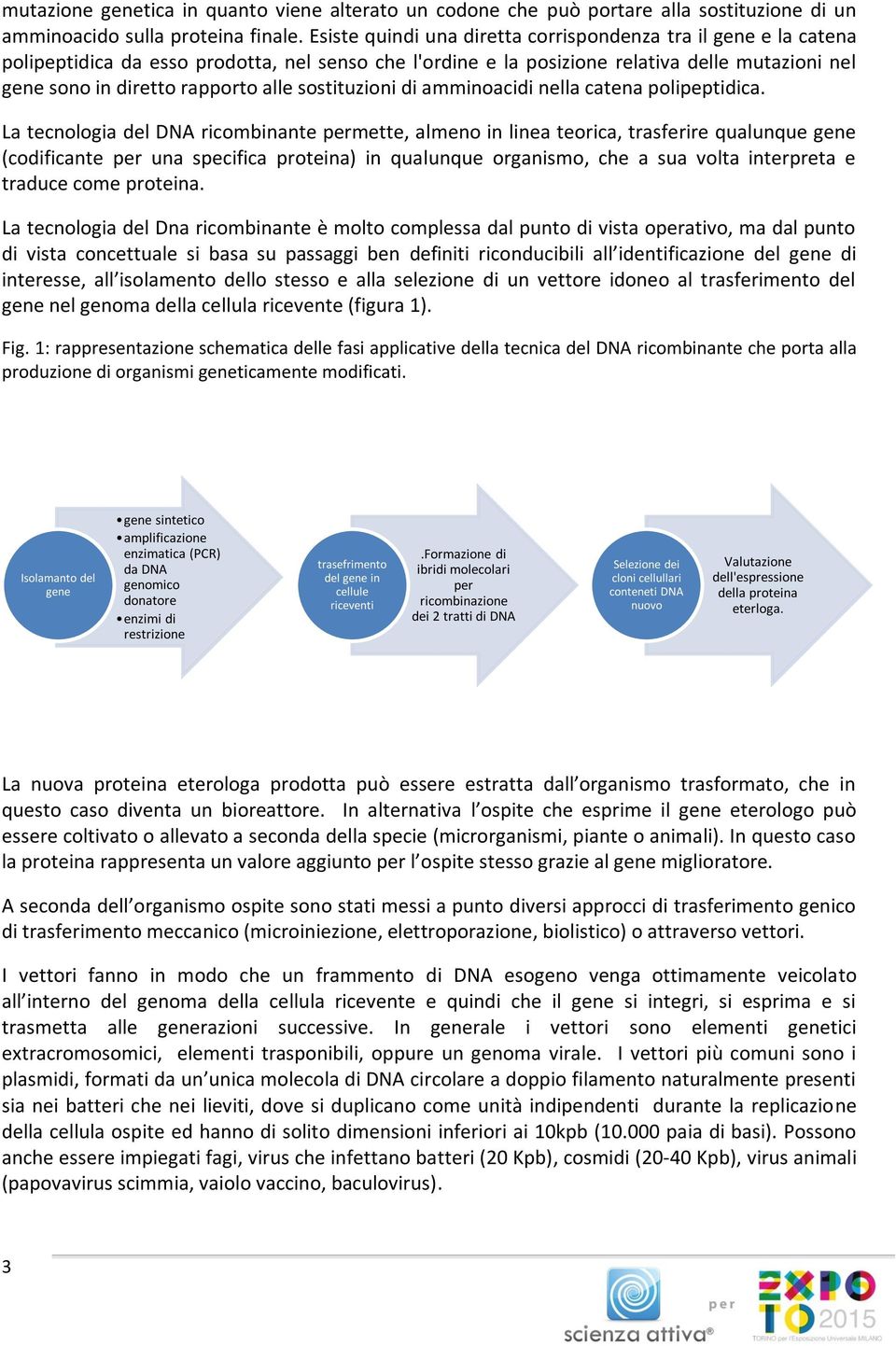 sostituzioni di amminoacidi nella catena polipeptidica.