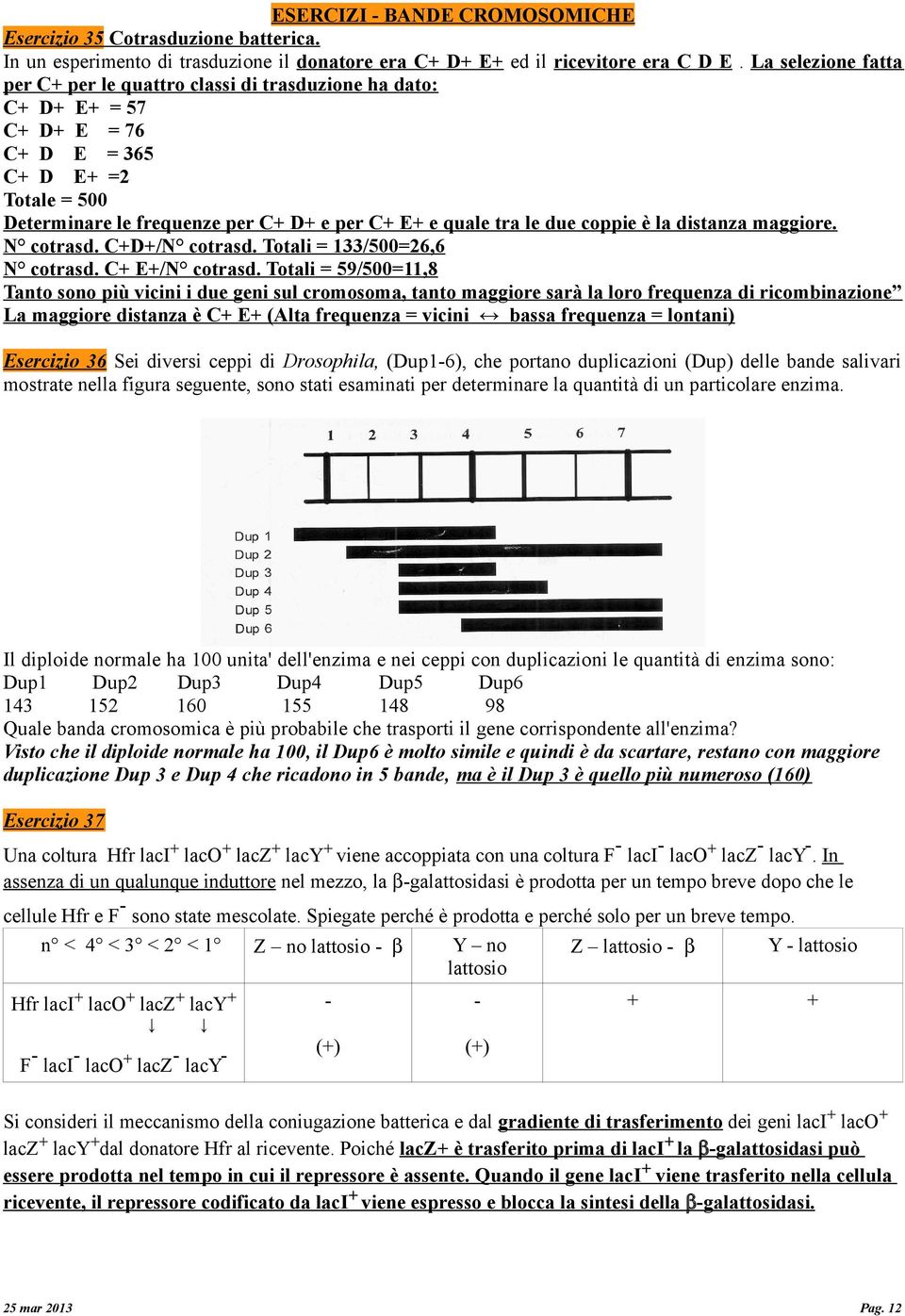 due coppie è la distanza maggiore. N cotrasd. C+D+/N cotrasd. Totali = 133/500=26,6 N cotrasd. C+ E+/N cotrasd.