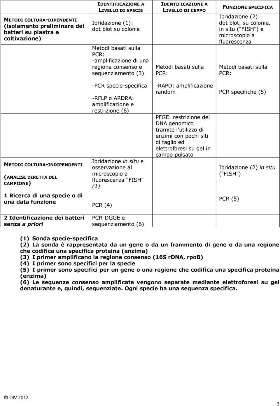 microscopio a fluorescenza Metodi basati sulla PCR: METODI COLTURA-INDIPENDENTI (ANALISI DIRETTA DEL CAMPIONE) -PCR specie-specifica -RFLP o ARDRA: amplificazione e restrizione (6) Ibridazione in