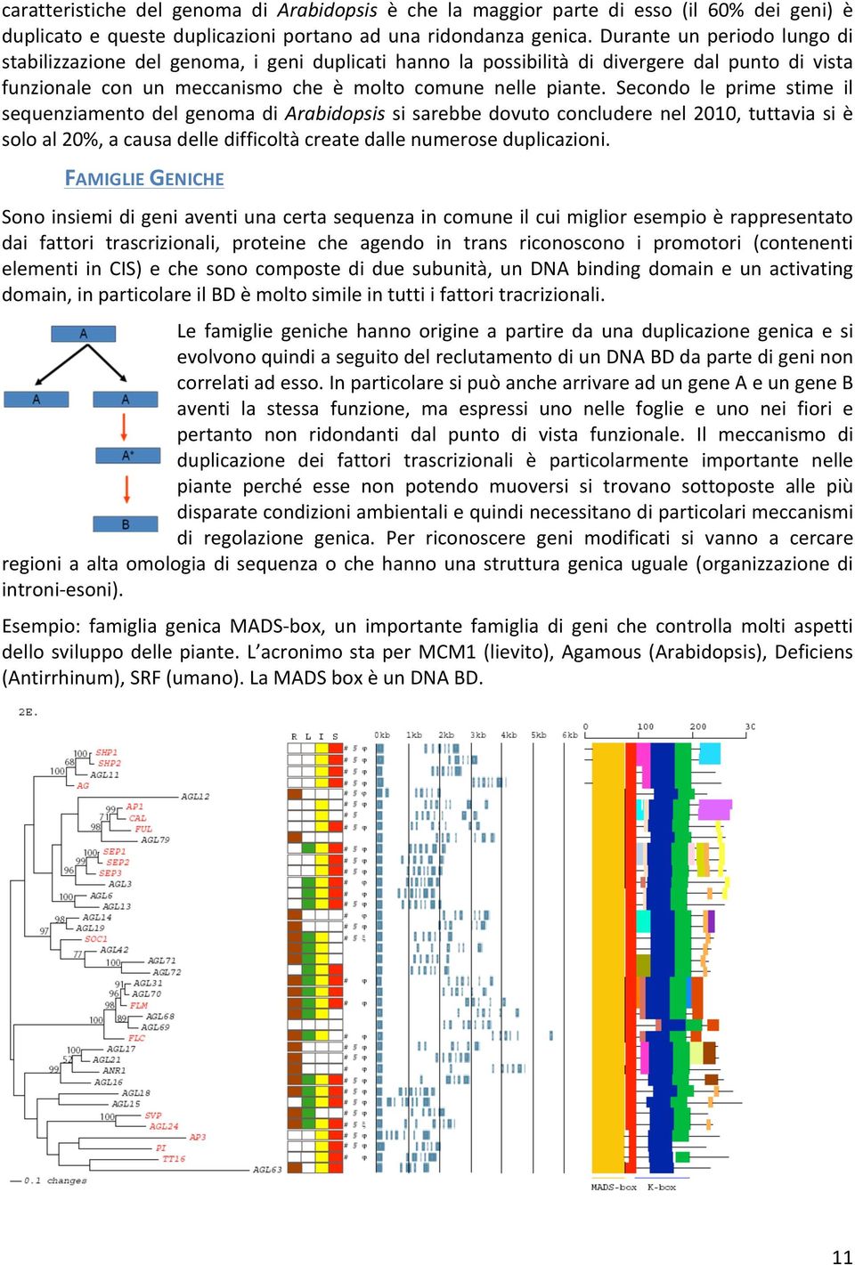 Secondo le prime stime il sequenziamento del genoma di Arabidopsis si sarebbe dovuto concludere nel 2010, tuttavia si è solo al 20%, a causa delle difficoltà create dalle numerose duplicazioni.