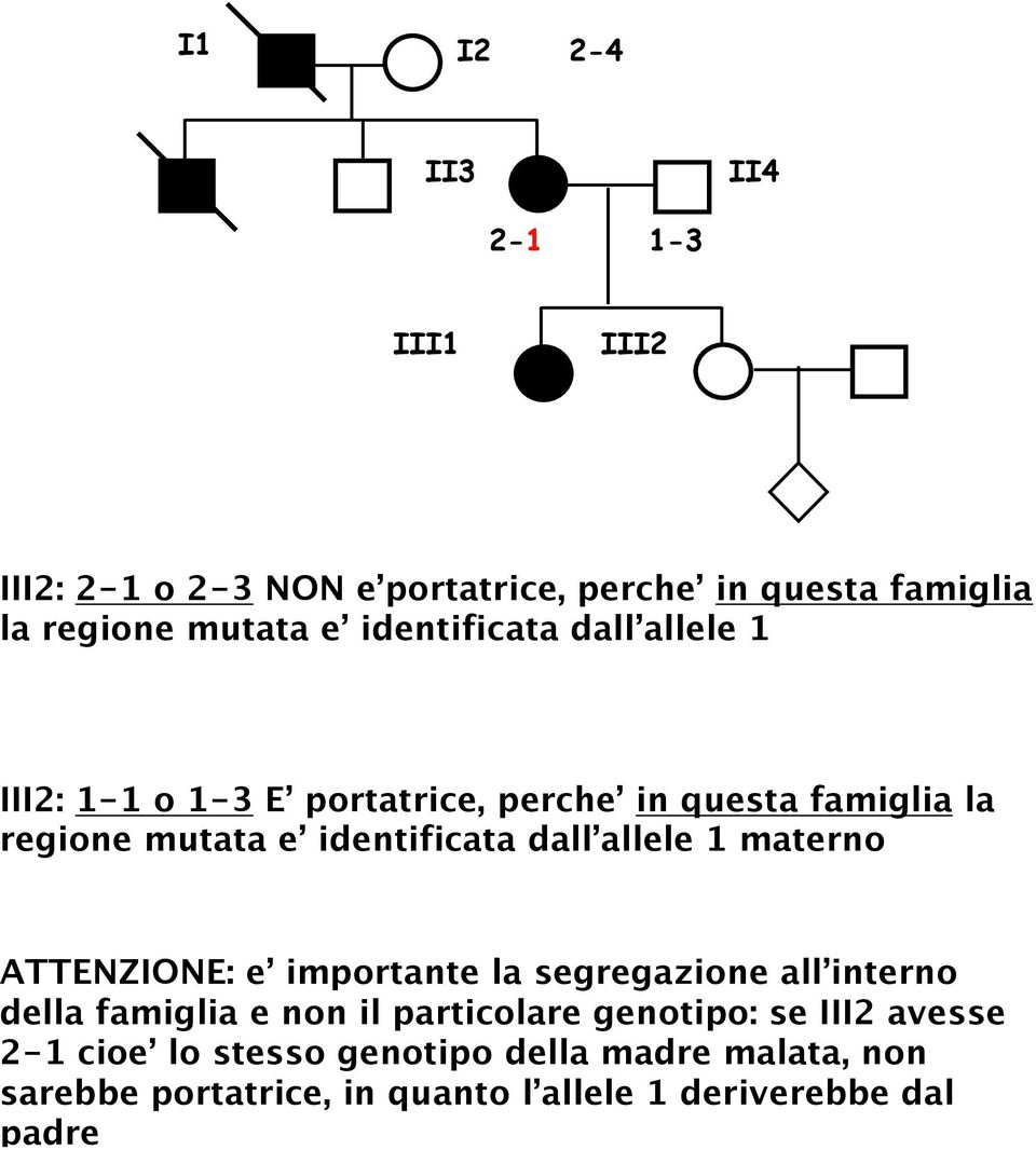 allele 1 materno ATTENZIONE: e importante la segregazione all interno della famiglia e non il particolare genotipo: se