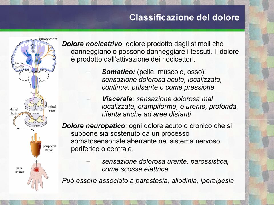 Somatico: (pelle, muscolo, osso): sensazione dolorosa acuta, localizzata, continua, pulsante o come pressione Viscerale: sensazione dolorosa mal localizzata, crampiforme,