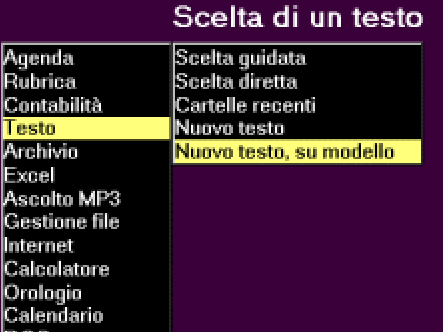 Altri Ausili e software dedicati Winguido è un software semplificato e intuitivo, che consente a ipovedenti e