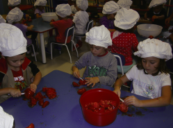 PASSATA DI POMODORO Primi giorni di scuola, si raccolgono nell orto gli