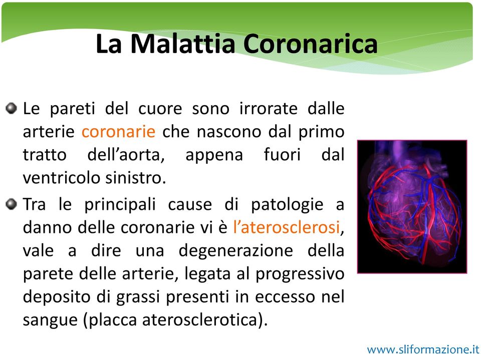 Tra le principali cause di patologie a danno delle coronarie vi è l aterosclerosi, vale a dire una