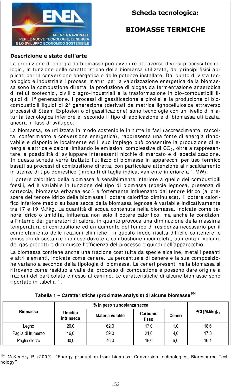 Dal punto di vista tecnologico e industriale i processi maturi per la valorizzazione energetica della biomassa sono la combustione diretta, la produzione di biogas da fermentazione anaerobica di