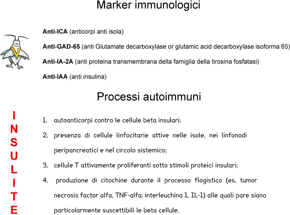 presenza di cellule linfocitarie attive nelle isole, nei linfonodi peripancreatici e nel circolo sistemico; 3.