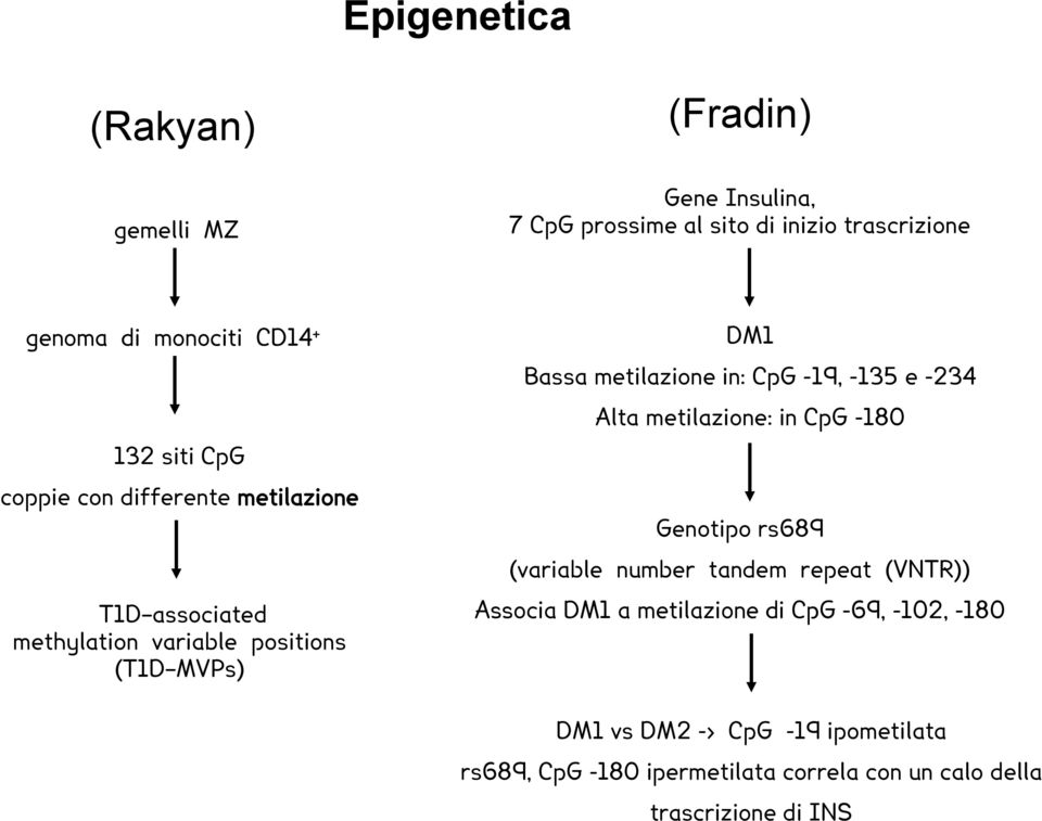 CpG -19, -135 e -234 Alta metilazione: in CpG -180 Genotipo rs689 (variable number tandem repeat (VNTR)) Associa DM1 a