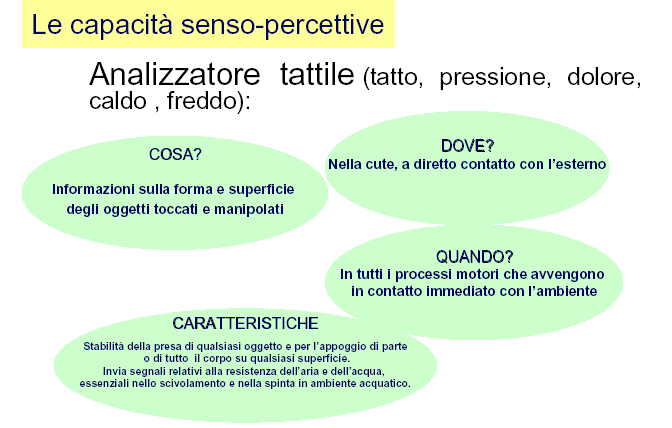 Tatto, gusto e olfatto E importante inserire nella nostra programmazione didattica degli esercizi di stimolazione/riconoscimento di queste tre aree per favorire una strutturazione completa dello