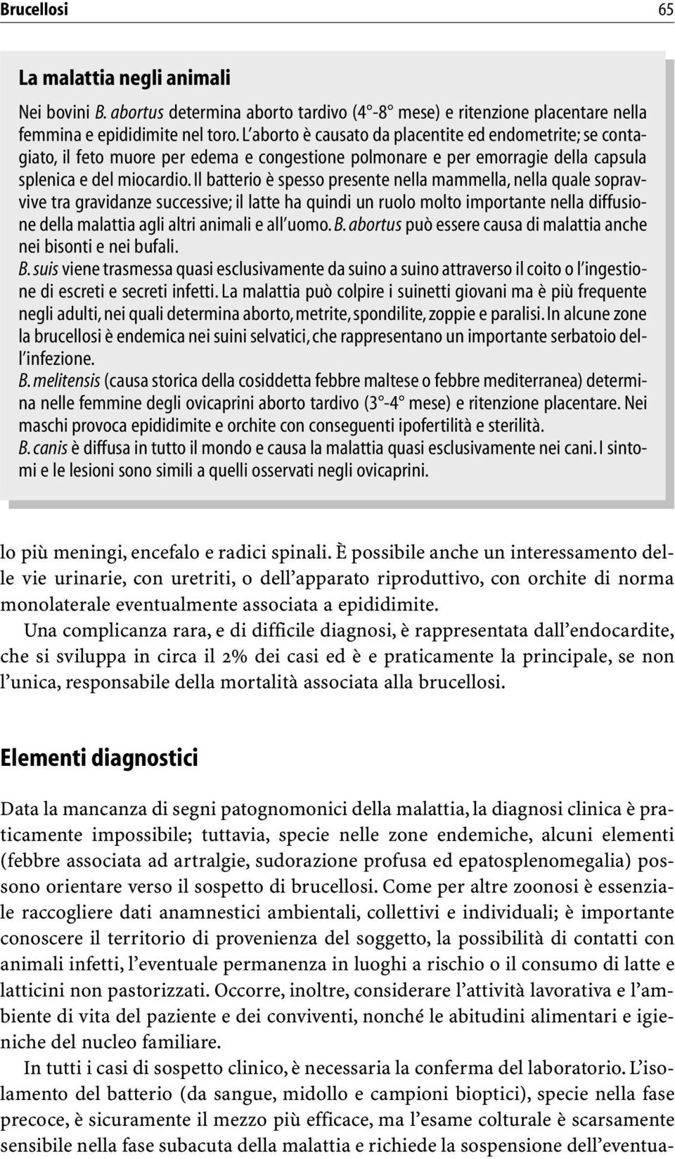 Il batterio è spesso presente nella mammella, nella quale sopravvive tra gravidanze successive; il latte ha quindi un ruolo molto importante nella diffusione della malattia agli altri animali e all