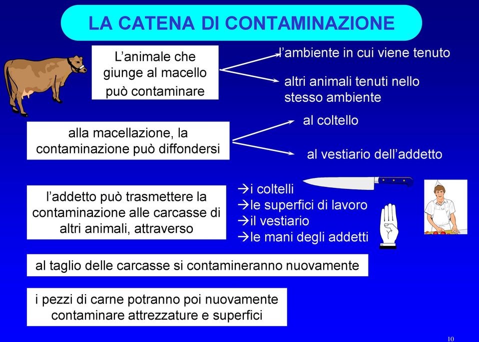 tenuti nello stesso ambiente al coltello i coltelli le superfici di lavoro il vestiario le mani degli addetti al vestiario dell