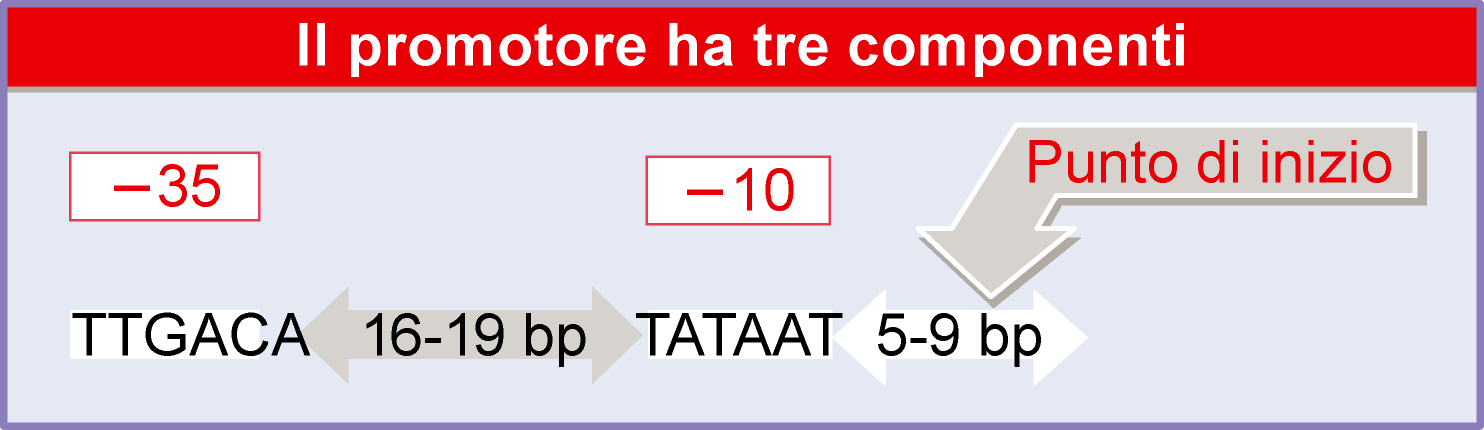 Mutare a -35 o a -10 ha la stesse consequenze?