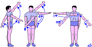 Arto superiore: movimenti del braccio a-b) flessione c) estensione d-e) abduzione f) adduzione g) indentro sul piano frontale h) indentro sul piano orizzontale i) infuori sul piano orizzontale l)