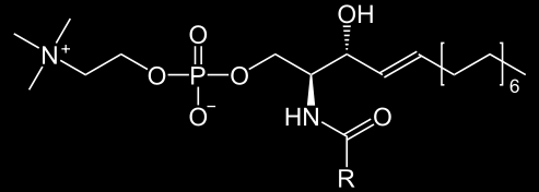 Fosforilcolina ProClear TM technology (BioMateriale) La Fosforilcolina (gruppo di testa delle sfingomieline contenute nelle cellule nervose) é un prodotto di sintesi che imita un fosfolipide della