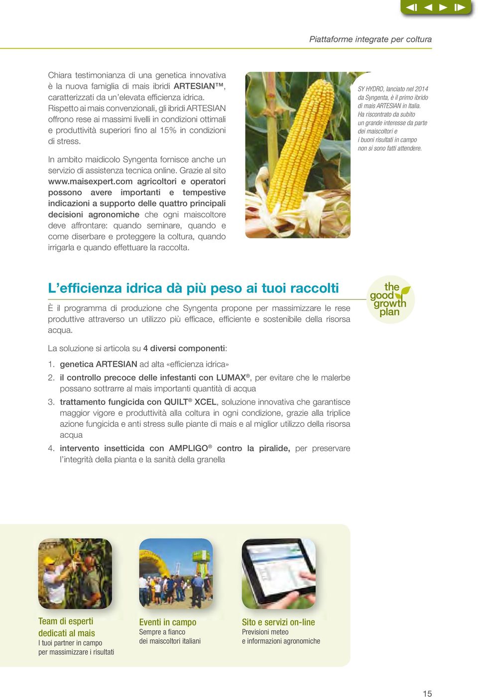 In ambito maidicolo Syngenta fornisce anche un servizio di assistenza tecnica online. Grazie al sito www.maisexpert.