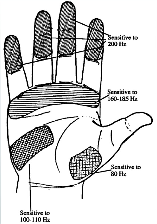 Analisi della letteratura (2) L articolo The development and evaluation of an ergonomic glove [1] riporta diversi studi di interesse sull argomento, tra i