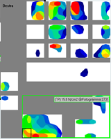 Sviluppo Analisi mappe di carico Definizione layout prototipo Test in