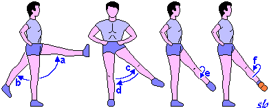 Arto inferiore: movimenti della coscia a) flessione b) estensione c) abduzione d) adduzione e) rotazione interna (mediale) f) rotazione esterna (laterale) l
